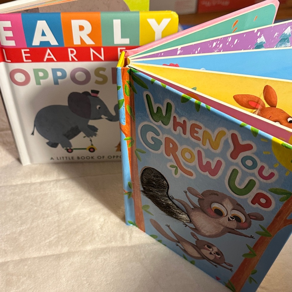 🐸2/$10🐸 Toddler board books sensory touch and feel